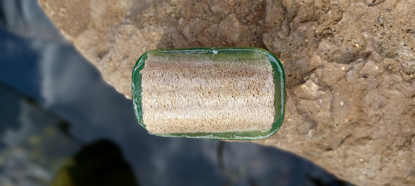 Olive Oil & Eucalyptus Sponge in a Soap