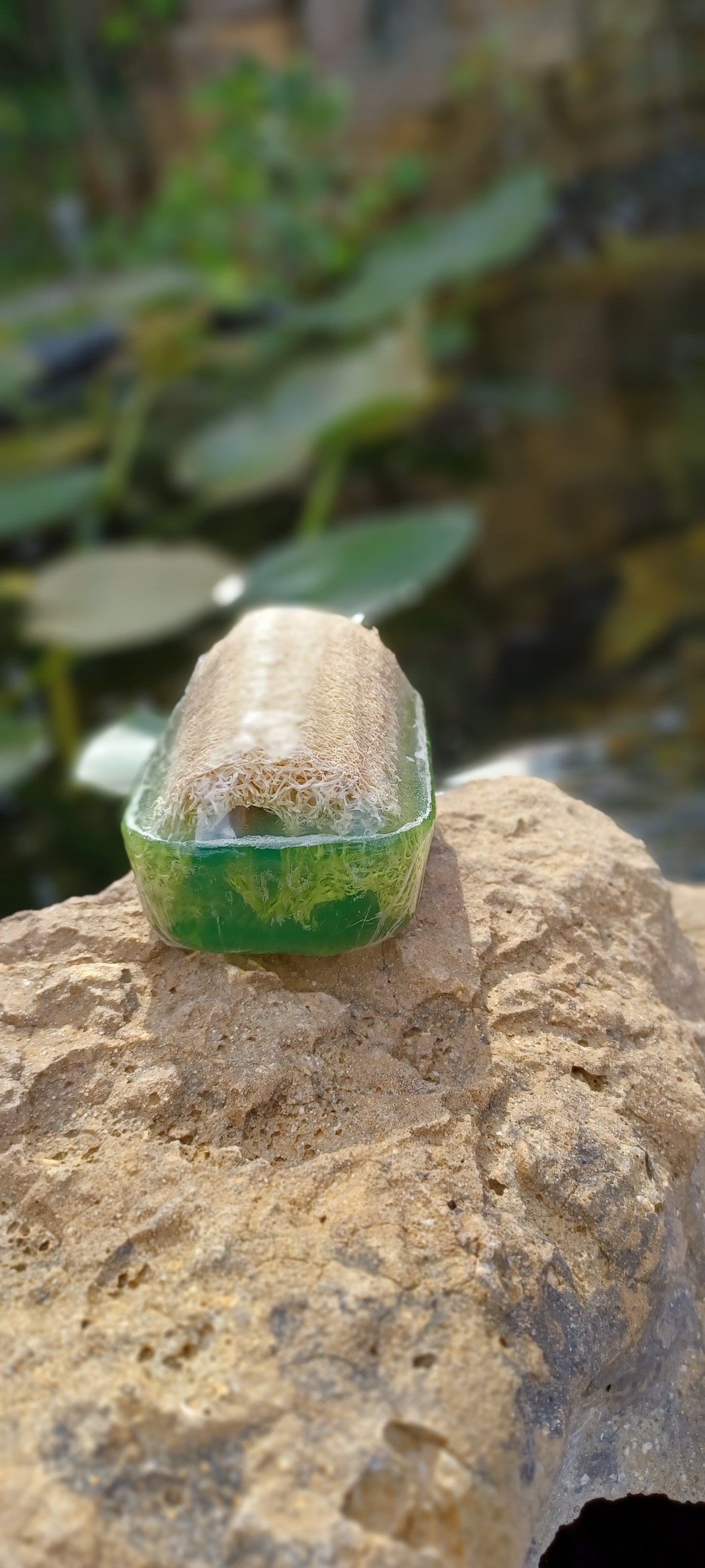 Olive Oil & Eucalyptus Sponge in a Soap