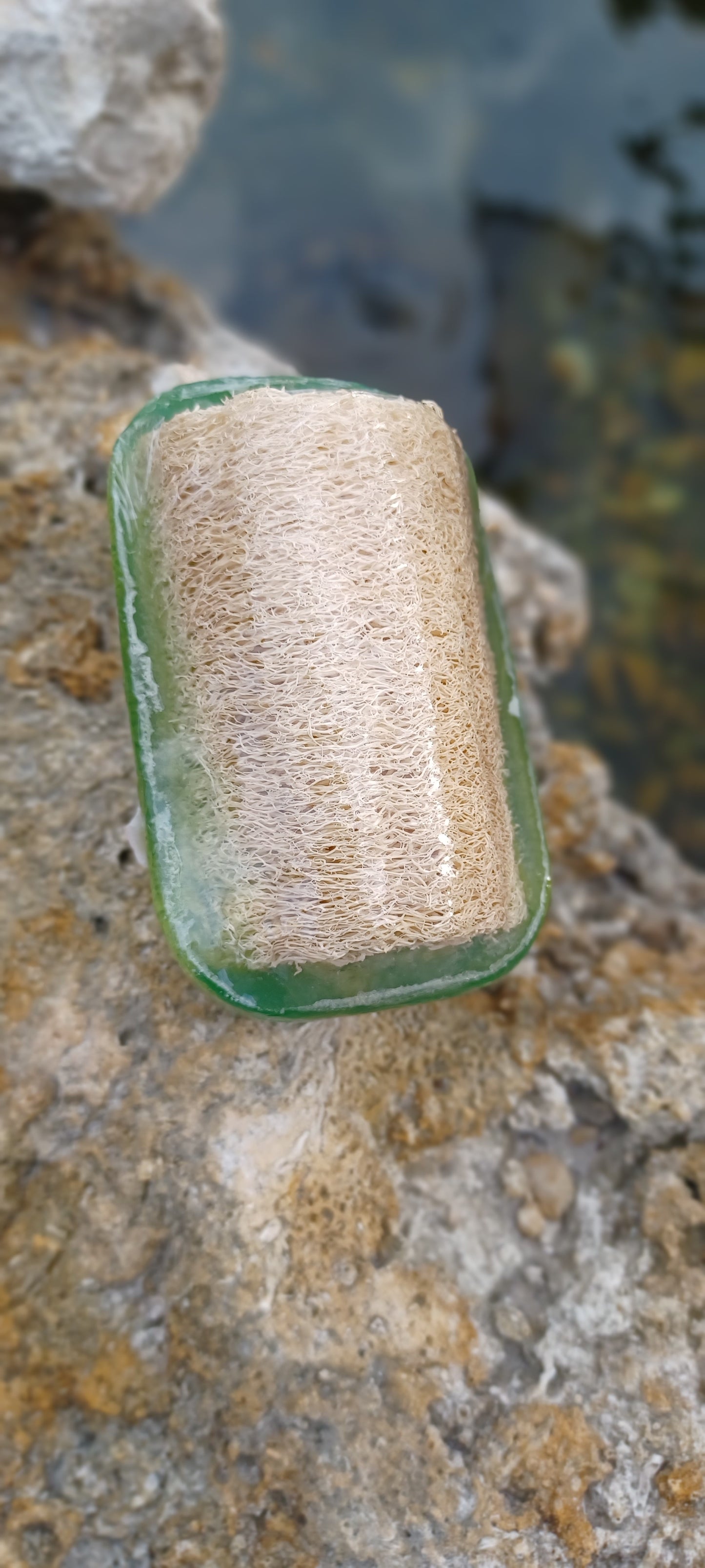 Olive Oil & Eucalyptus Sponge in a Soap