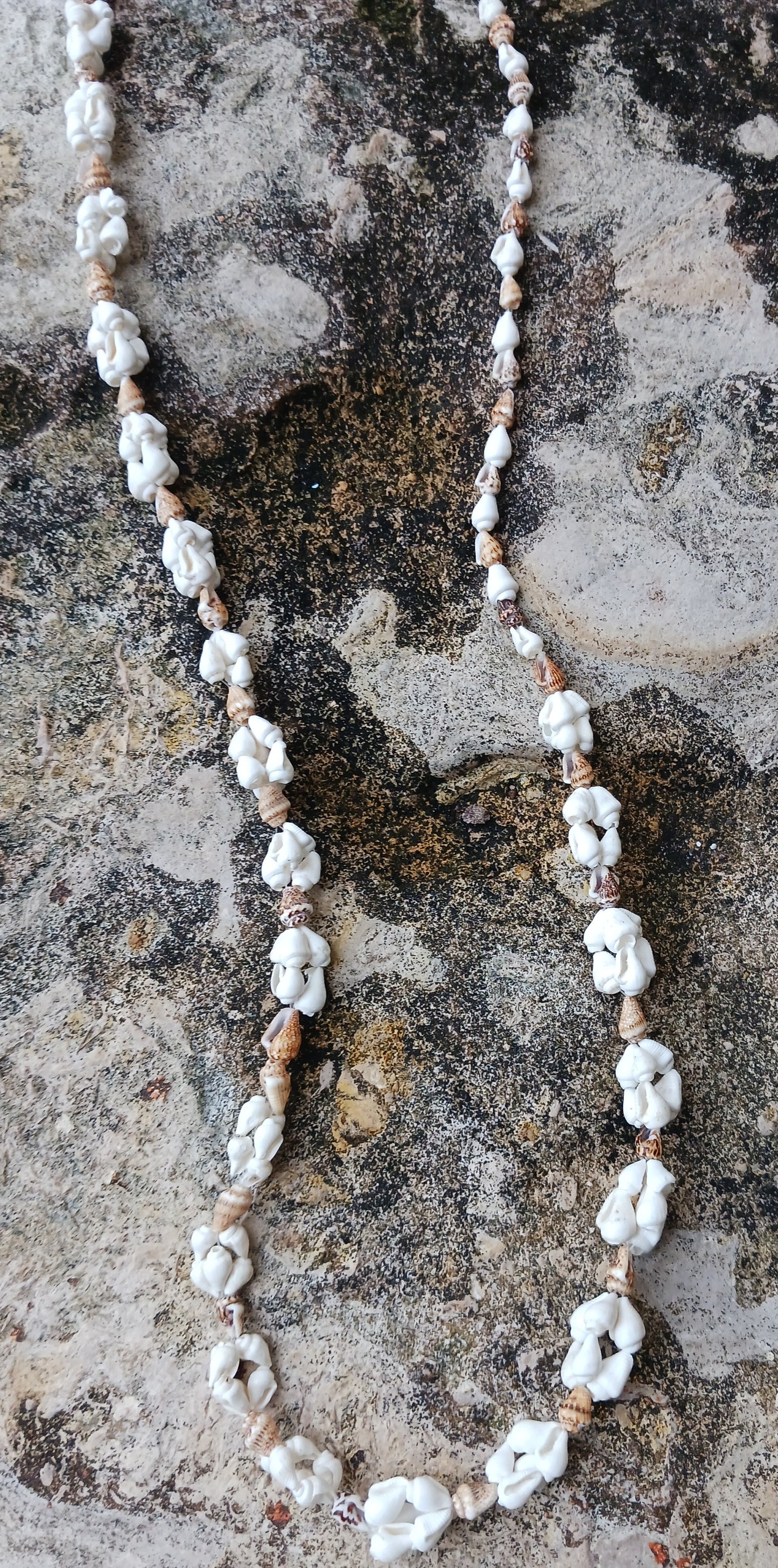 Vintage seashell Necklace